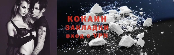 шишки Арсеньев