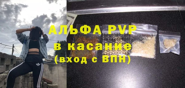 гашик Аркадак