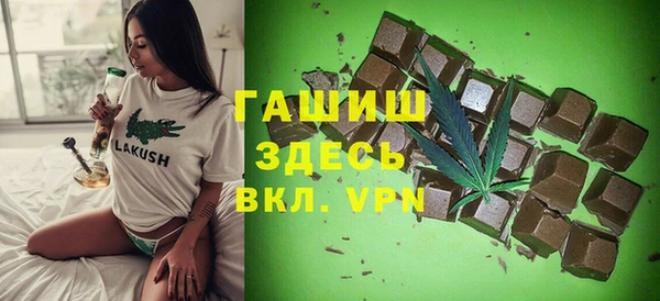 шишки Арсеньев