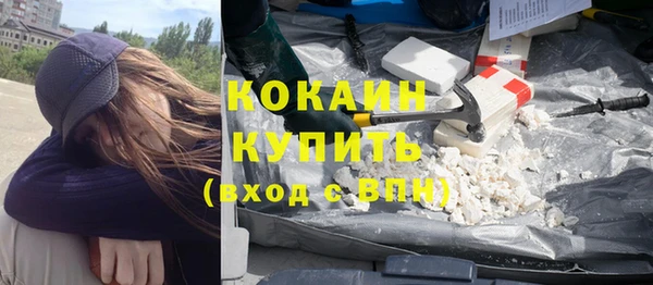 гашик Аркадак